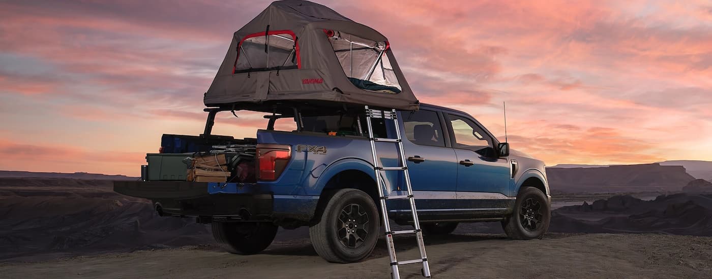 Rear of a blue 2026 Ford F-150 parked off-road.